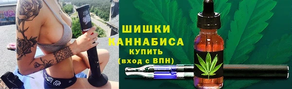 дживик Алагир