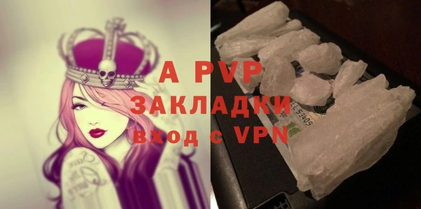 ПСИЛОЦИБИНОВЫЕ ГРИБЫ Михайлов