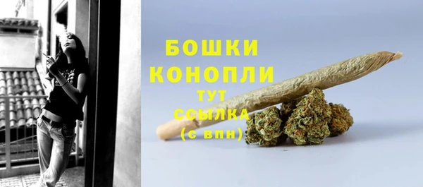 ПСИЛОЦИБИНОВЫЕ ГРИБЫ Михайлов