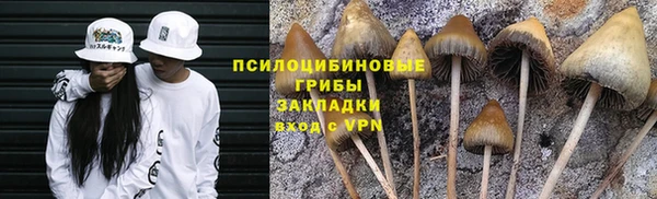 ГАЛЛЮЦИНОГЕННЫЕ ГРИБЫ Михайловск