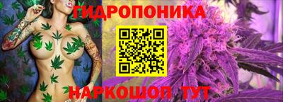 MDMA Premium VHQ Камышлов