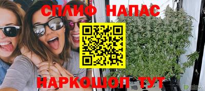 крисы Кандалакша