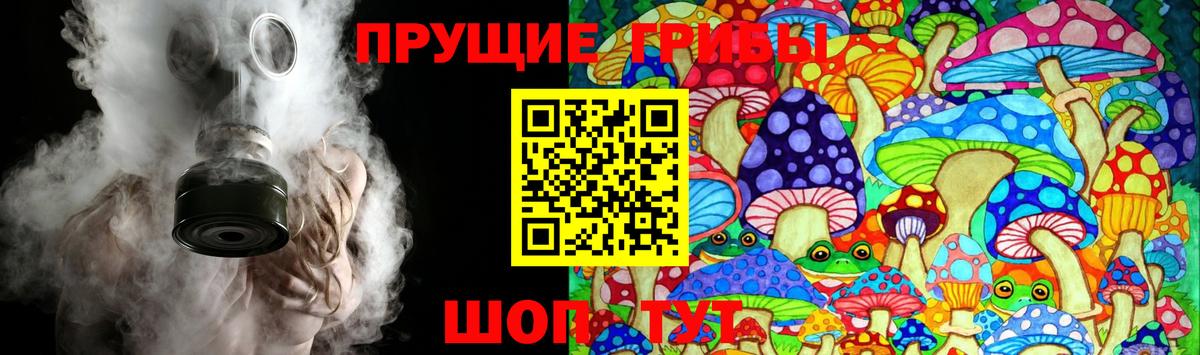 Псилоцибиновые грибы GOLDEN TEACHER  Вход с VPN  Рязань 
