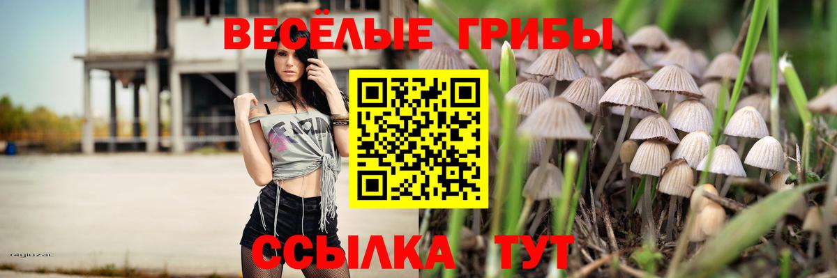 Галлюциногенные грибы MAGIC MUSHROOMS Рязань