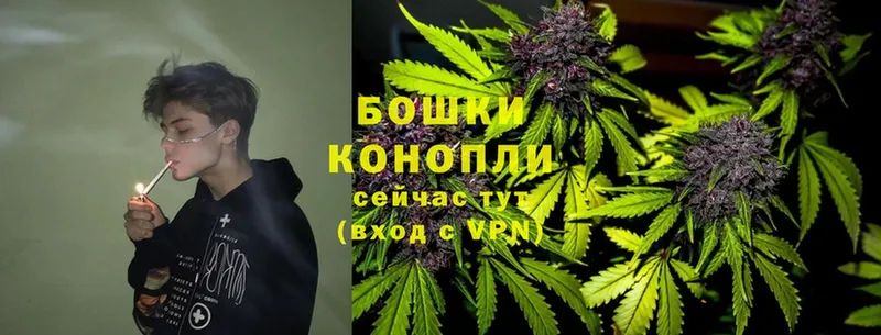 как найти закладки  Рязань  Бошки марихуана THC 21% 